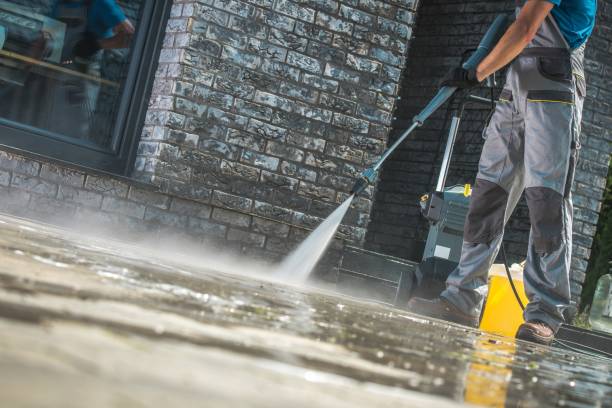 Best Animal Enclosure Cleaning  in Big Lake, TX